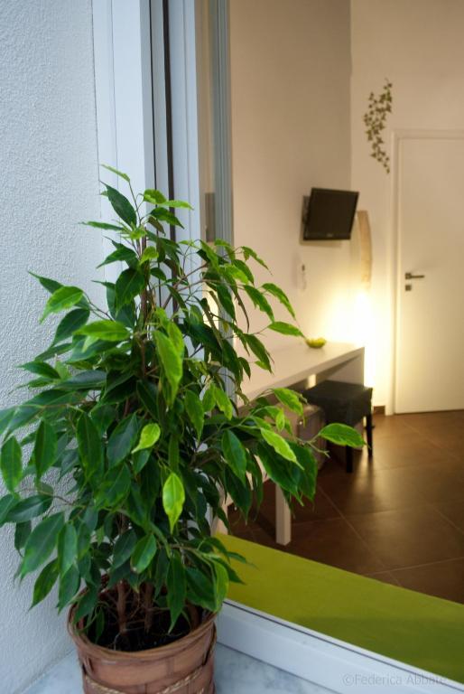 Affittacamere B&B Carella Palermo Quarto foto